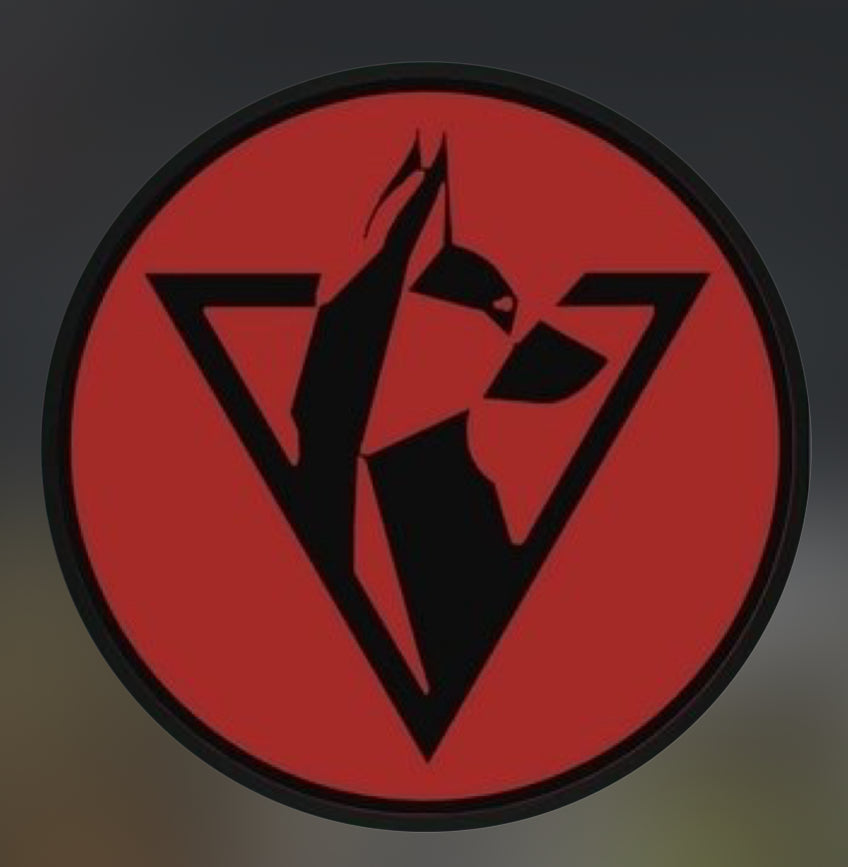 SKIRMISH BY WARDOGS TEAM